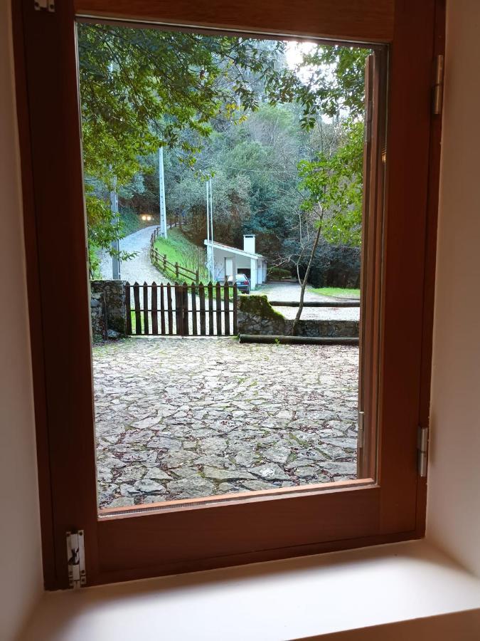 Moinho Das Fragas Figueiro Dos Vinhos Extérieur photo