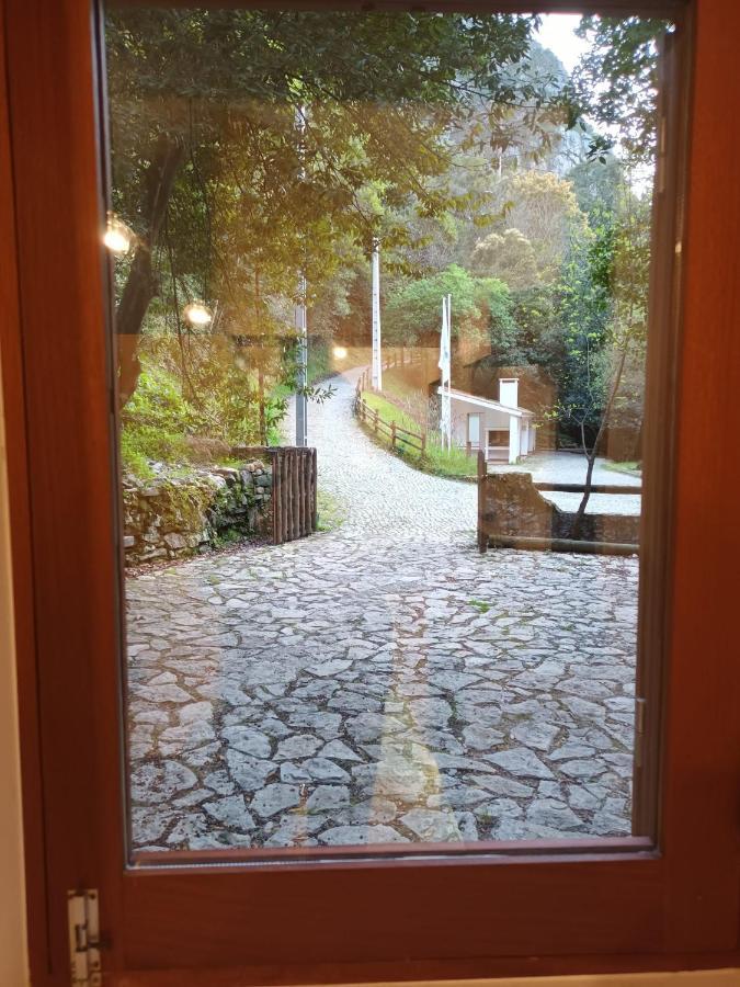 Moinho Das Fragas Figueiro Dos Vinhos Extérieur photo